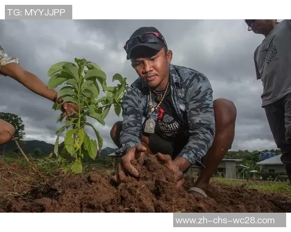 播求与孔令丰再度交锋二番战揭晓谁才是真正的泰拳王者